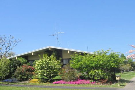 Photo of property in 33 Deanna Avenue, Morrinsville, 3300