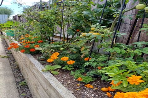 Photo of property in 170a Boucher Avenue, Te Puke, 3119