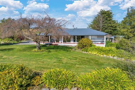 Photo of property in 59 Hawkswood Road, Hawkswood, Cheviot, 7384