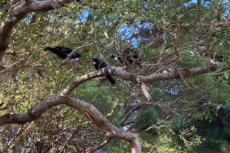 Photo of property in 31 Scarborough Terrace, Mount Victoria, Wellington, 6011