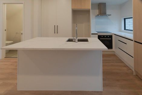 Photo of property in 39 Clay Works Lane, New Lynn, 0600