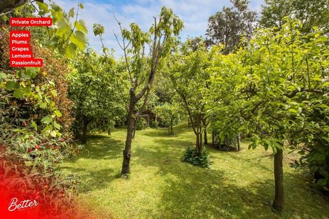 Photo of property in 10 Richmal Street, Waihi, 3610