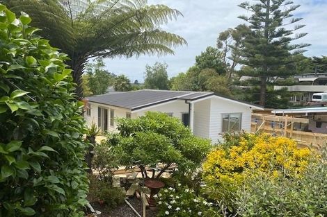 Photo of property in 61 Stapleford Crescent, Browns Bay, Auckland, 0630