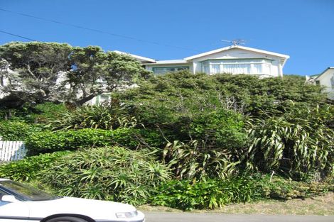 Photo of property in 93 Te Anau Road, Hataitai, Wellington, 6021