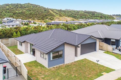 Photo of property in 43 Awataha Crescent, Pyes Pa, Tauranga, 3110