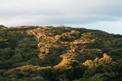 Photo of property in 46 Power Road, Karoro, Greymouth, 7805