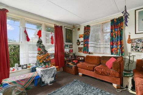 Photo of property in 1 Wrigley Road, Fordlands, Rotorua, 3015