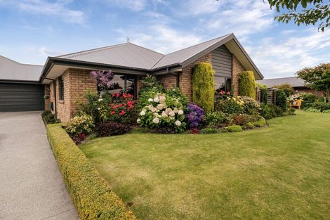 Photo of property in 11 Primrose Place, Allenton, Ashburton, 7700