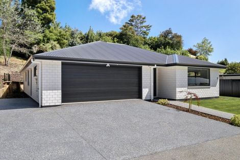 Photo of property in 5 Rose Drive, Concord, Dunedin, 9018