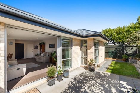 Photo of property in 3/51 Barrington Street, Somerfield, Christchurch, 8024