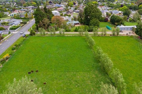 Photo of property in 29 Ruahine Street, Dannevirke, 4930