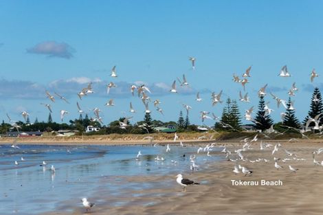 Photo of property in 17 Brooke Road, Karikari Peninsula, Kaitaia, 0483