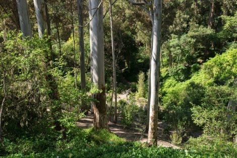 Photo of property in 18 Diana Avenue, Mangapapa, Gisborne, 4010