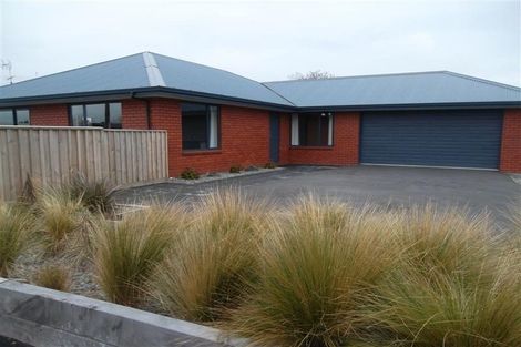 Photo of property in 14 Manse Street, Hampstead, Ashburton, 7700