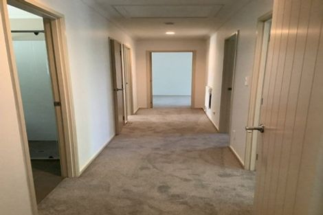 Photo of property in 52 Potter Road, Dairy Flat, Albany, 0792