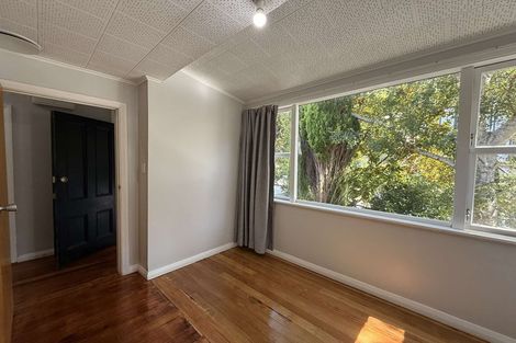 Photo of property in 61 Rolleston Street, Mount Cook, Wellington, 6021