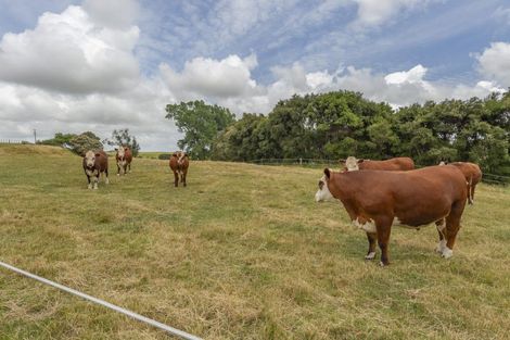 Photo of property in 1358 Makirikiri Road, Turakina, Marton, 4789