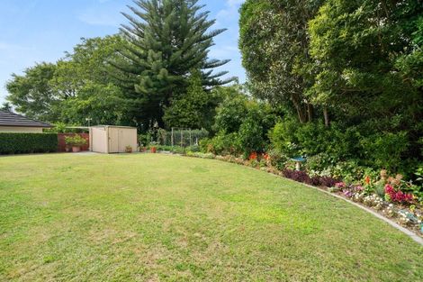 Photo of property in 82 Orange Lane, Bethlehem, Tauranga, 3110
