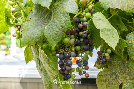 Photo of property in 13 Wood Street, Wallaceville, Upper Hutt, 5018