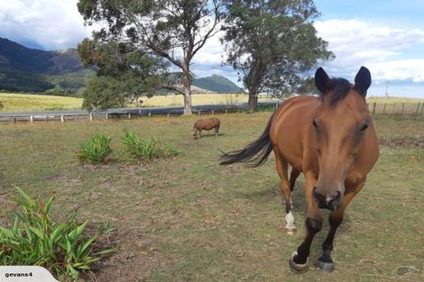 Photo of property in 3353 Mangakahia Road, Pakotai, Whangarei, 0172