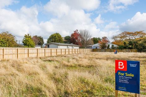 Photo of property in 3 Cambridge Avenue, Ashhurst, 4810