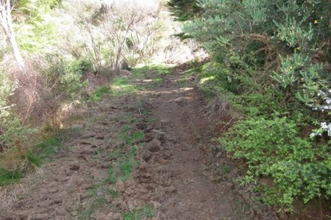 Photo of property in 2043 The 309 Road, Kaimarama, Whitianga, 3591