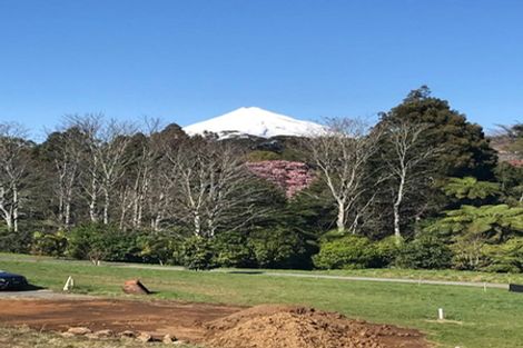 Photo of property in 43 Sycamore Grove, Lower Vogeltown, New Plymouth, 4310