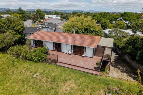 Photo of property in 493 Ruahine Street, Terrace End, Palmerston North, 4410