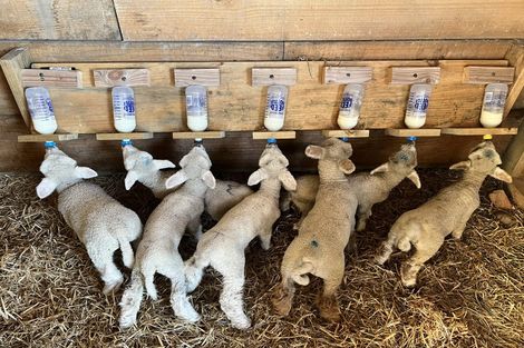 Photo of property in 1 Clough Road, Paroa, Greymouth, 7805