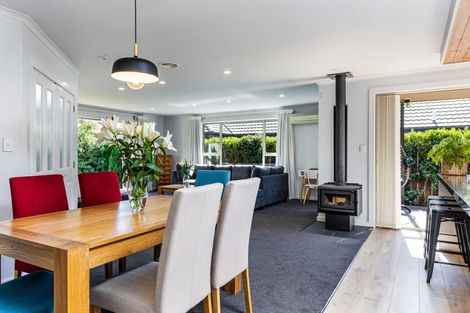 Photo of property in 59 Taylor Pass Road, Witherlea, Blenheim, 7201