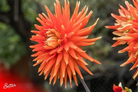 Photo of property in 10 Richmal Street, Waihi, 3610