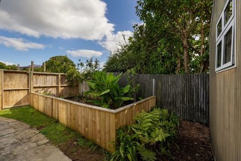 Photo of property in 25 Tui Street, Point Chevalier, Auckland, 1022
