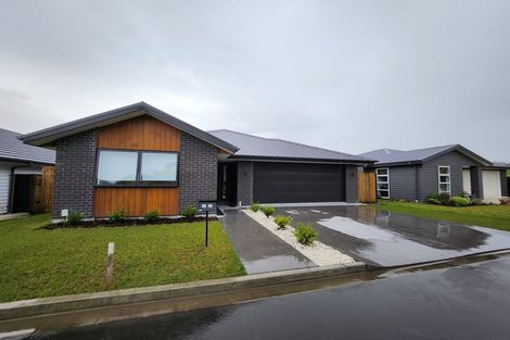 Photo of property in 12 Kokopu Lane, Ohauiti, Tauranga, 3112