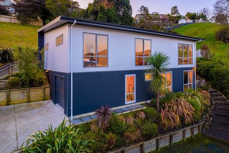 Photo of property in 118 Washington Road, Stepneyville, Nelson, 7010