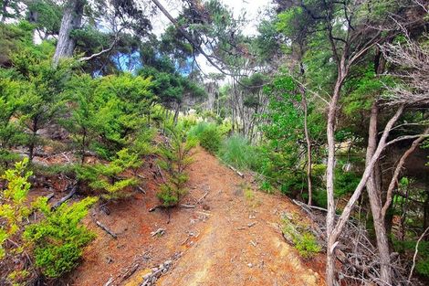 Photo of property in 165 Bon Accord Harbour, Kawau Island, 0920