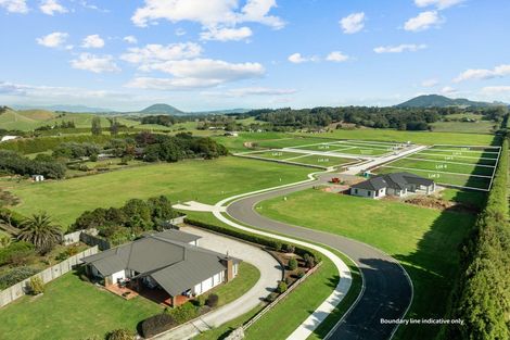 Photo of property in 58 Austin Road, Dairy Flat, Albany, 0794