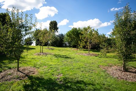 Photo of property in 171 Gunn Road, Waharoa, 3474