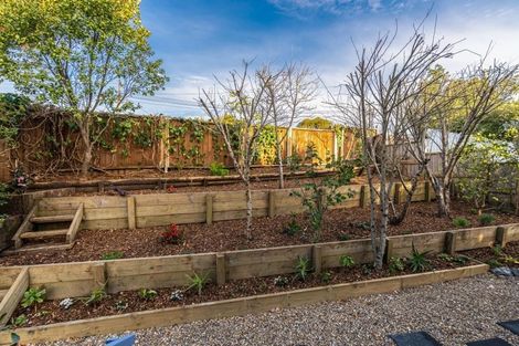 Photo of property in 1/77 Manuka Road, Bayview, Auckland, 0629