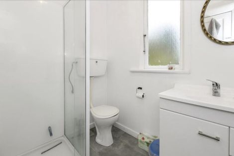 Photo of property in 14 Duddingstone Steps, North East Valley, Dunedin, 9010