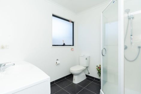 Photo of property in 49 Stoneleigh Drive, Chartwell, Hamilton, 3210