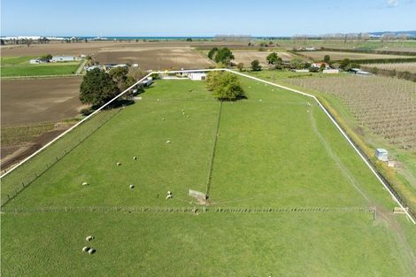 Photo of property in 45 Jessep Road, Meeanee, Napier, 4183