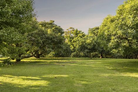 Photo of property in 241 Rea Road, Tahawai, Katikati, 3178