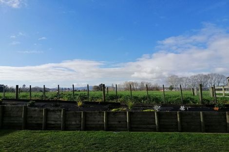 Photo of property in 18 Ihimaera Terrace, Leamington, Cambridge, 3432