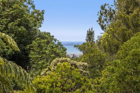 Photo of property in 410a Busby Road, Tahawai, Katikati, 3170