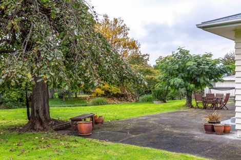 Photo of property in 12 Weka Place, Masterton, 5810