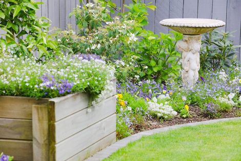 Photo of property in 21 Saltwood Lane, Bethlehem, Tauranga, 3110