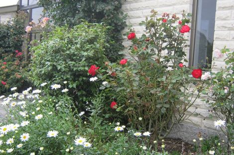 Photo of property in 5 Hillview Place, Pleasant Point, 7903