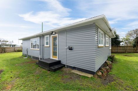 Photo of property in 17 Bartholomew Road, Levin, 5510