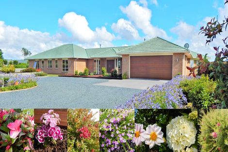 Photo of property in 415 Te Ahu Ahu Road, Waimate North, Kaikohe, 0472