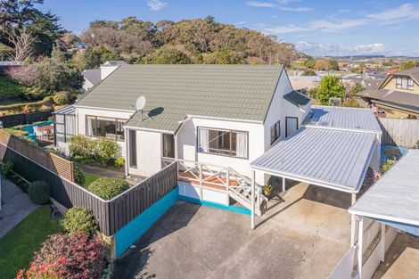 Photo of property in 22 Treadwell Street, Springvale, Whanganui, 4501